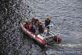 Ottawa emergency crews help person who fell down hill under Alexandra Bridge - Ottawa.CityNews.ca