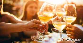 Bar Fair strijkt weer neer aan Plukboerderij - Het Laatste Nieuws