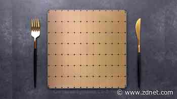 AI startup Cerebras celebrated for chip triumph where others tried and failed