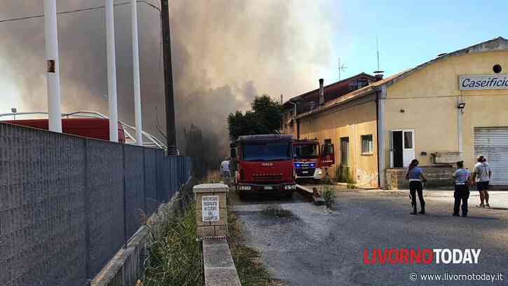 Cecina, incendio al Cedrino minaccia case, capannoni e ferrovia: chiusa la Vecchia Aurelia, interrotta la circolazione dei treni. FOTO - LivornoToday