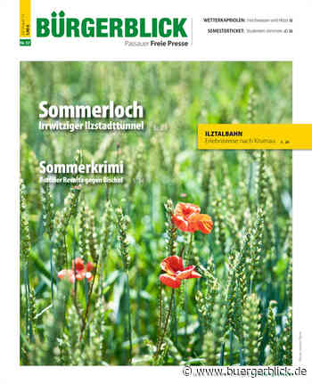 Im Sommer vor zehn Jahren - Printmagazin - Bürgerblick Passau - Bürgerblick Passau