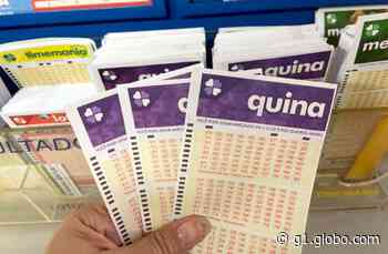 Resultado da Quina: aposta de Mococa acerta quatro números e ganha prêmio de R$ 4,6 mil - Globo.com