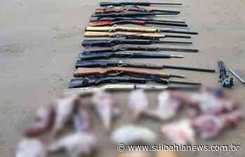 Armas artesanais são presas no Parque Nacional de Itamaraju - SulBahiaNews