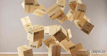 Retouren-Management: So bleibt der Online-Handel rentabel - dispo