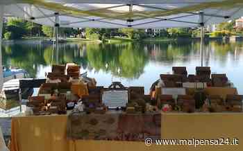 Sesto, il referendum sul mercato non sarà prima del 2 ottobre - malpensa24.it