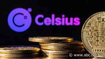 Life savings gone, Australian crypto investors beg bankruptcy judge for help