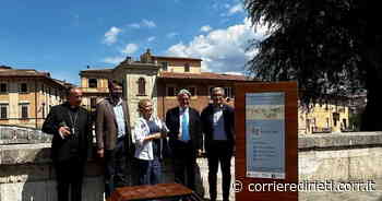 Rieti, inaugurati Totem digitali e interattivi per raccontare il mondo dell’acqua - Corriere di Rieti