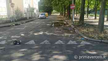 Vercelli è da ripulire da detriti dei temporali ed erbacce - Prima Vercelli