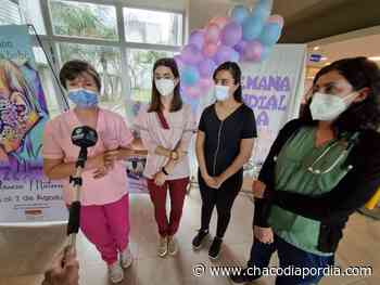 Semana de la lactancia materna: “La leche humana no se iguala con ninguna otra fórmula” | CHACO DÍA POR DÍA - Chaco Dia Por Dia