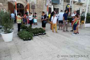 "Balconi in fiore": iniziata la distribuzione gratuita delle piante (FOTO) - TerlizziViva