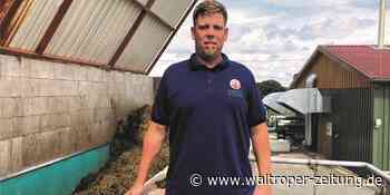 WZ+ Aus Mist von 250 Recklinghäuser Öko-Schweinen wird in Waltrop Biogas - Waltroper Zeitung