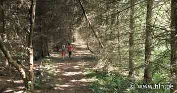 Wandel mee door de ongerepte natuur van de Lovenhoek - Het Laatste Nieuws