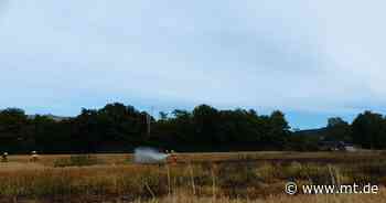 60 Feuerwehrleute im Einsatz: Getreidefeld stand in Flammen - Mindener Tageblatt