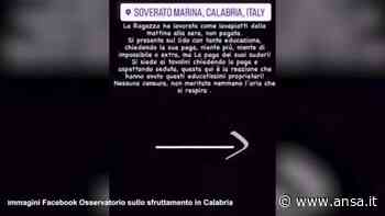 Soverato, "picchiata perche' ho chiesto di essere pagata": verifiche dei Carabinieri - Italia - Agenzia ANSA
