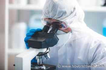 Urge il “Partito della Salute” - Soverato Web