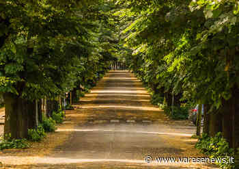 Cambia la viabilità intorno ai licei di Gallarate - varesenews.it