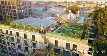 De natuurlijke stad: PAKT in Antwerpen - architectura.be