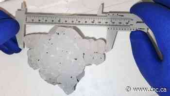 Massive hailstone found near Markerville, Alta., breaks Canadian record, research group says