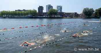 Blauwalg vergalt zwempret in Keerdok | Mechelen | hln.be - Het Laatste Nieuws