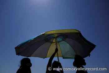 New B.C.-based technology may help diagnose skin cancer sooner - Comox Valley Record