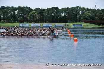 Island dragon boaters clean up at Club Crew Worlds - Comox Valley Record
