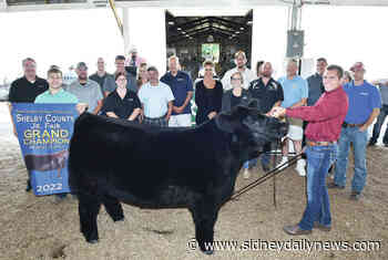 Steer sells for $14,400 - sidneydailynews.com