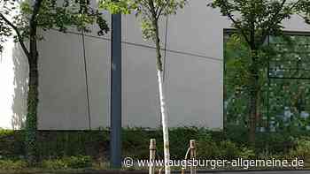 Augsburg: Unbekannte schneiden Halteseile von Bäumen am Roten Tor durch | Augsburger Allgemeine - Augsburger Allgemeine