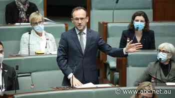 Greens leader Adam Bandt to call on government to make childcare and dental free in National Press Club address - ABC News