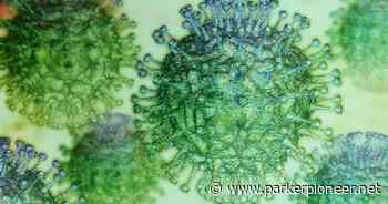 Coronavirus BA.5 is a 'whole different animal' | News | parkerpioneer.net - Parker Pioneer