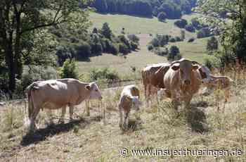 Ackerboden verloren - Flächenfraß raubt Bauern Land - inSüdthüringen