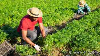 Travel doesn’t need to break the bank, especially if you’re willing to do a little work - Belleville News-Democrat