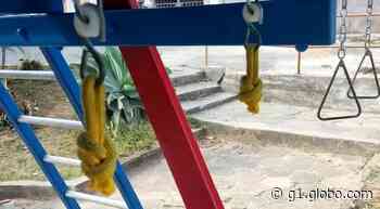 Brinquedos de praças são furtados em Santos Dumont - Globo