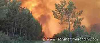EN DIRECT - Canicule et incendie: Après Landiras et La Teste-de-Buch en Gironde, de nouveaux feux de forê... - Le Blog de Jean-Marc Morandini