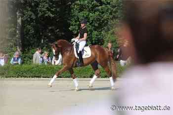 Pferdezüchter im Bezirksverband Stade stehen vor neuen Herausforderungen - Landkreis Stade - Tageblatt-online