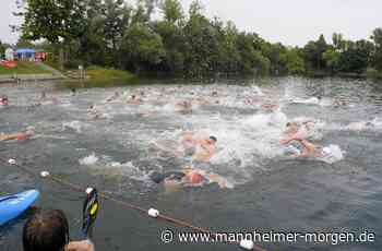 Mannheimer Schwimmverein sagt Traditionsevent „Swim & Run“ ab - Mannheim - Nachrichten und Informationen - Mannheimer Morgen