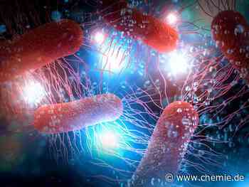 Neue Methode zur Förderung der Biofilmbildung und Steigerung der Effizienz der Biokatalyse