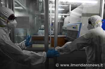 Vaiolo delle scimmie, arriva da Benevento il nuovo test: bastano 2 gocce di sangue - Il Meridiano News