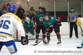 Ice hockey: Ryan Sutton and Jay King re-sign for the Bison - Basingstoke Gazette