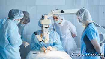 Top-Ausbildungsberufe 2021: Medizinische Fachangestellte und KFZ-Mechatroniker an der Spitze - DER SPIEGEL - DER SPIEGEL