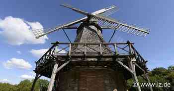 Historische Handwerkstechniken in Detmold erleben | Lokale Nachrichten aus Detmold - Lippische Landes-Zeitung