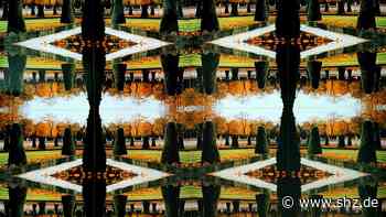 VHS-Ausstellung und mehr: Das plant der Kunstkreis Schenefeld nach den Sommerferien - shz.de