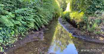 Nieuw overstromingsgebied moet wateroverlast indijken | Schilde | hln.be - Het Laatste Nieuws