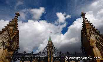 Police arrest driver in early morning Parliament Hill crash - CochraneNow.com