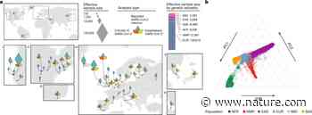 A first update on mapping the human genetic architecture of COVID-19 - Nature.com