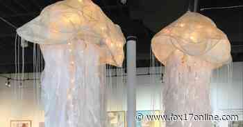 Holland Arts Council announces three upcoming exhibitions - FOX 17 West Michigan News