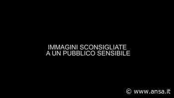Trieste, violenze al figlio minorenne: arrestata dai carabinieri - Italia - Agenzia ANSA