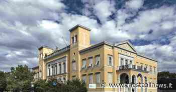 Lavoro, MIB Trieste: “Grande richiesta di competenze digitali in FVG” - Trieste News