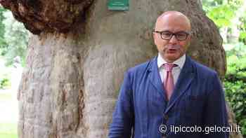 Alberi monumentali di Trieste, Michele Lobianco presenta il Platano - Il Piccolo