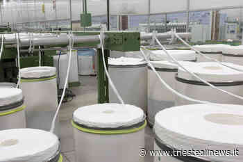 Tirso, l'azienda rassicura: lo stabilimento non chiuderà - Trieste News