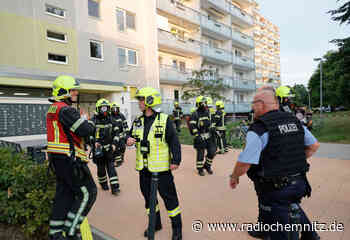 Feuer in Elfgeschosser am Harthwald - Radio Chemnitz